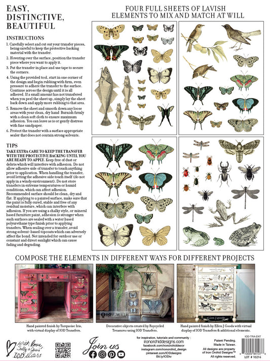 Entomology Etcetera IOD Transfer 12" x 16" Pad